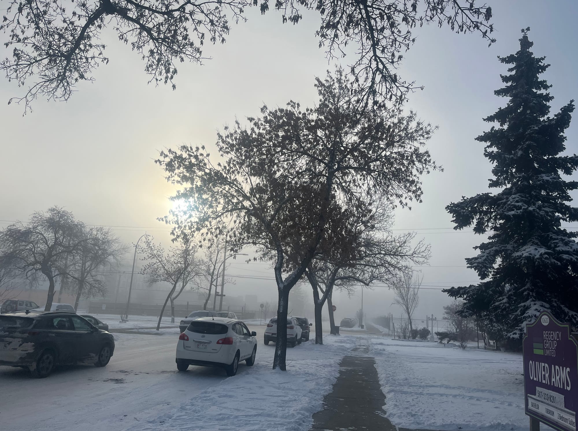 A snowy residential street: bare and snow-laden trees, parked cars, a shoveled gray sidewalk and frost in the very air