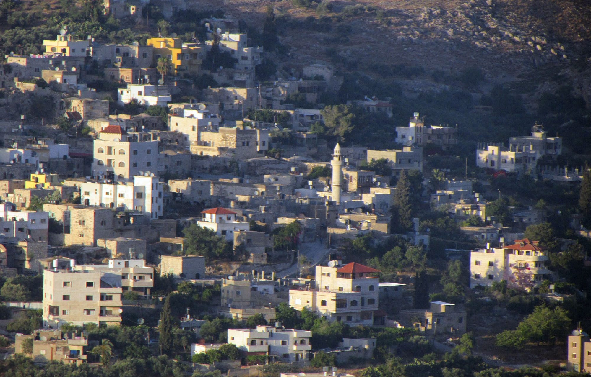 The town of Burin, with low buildings and a minaret amid trees on a rocky hillside