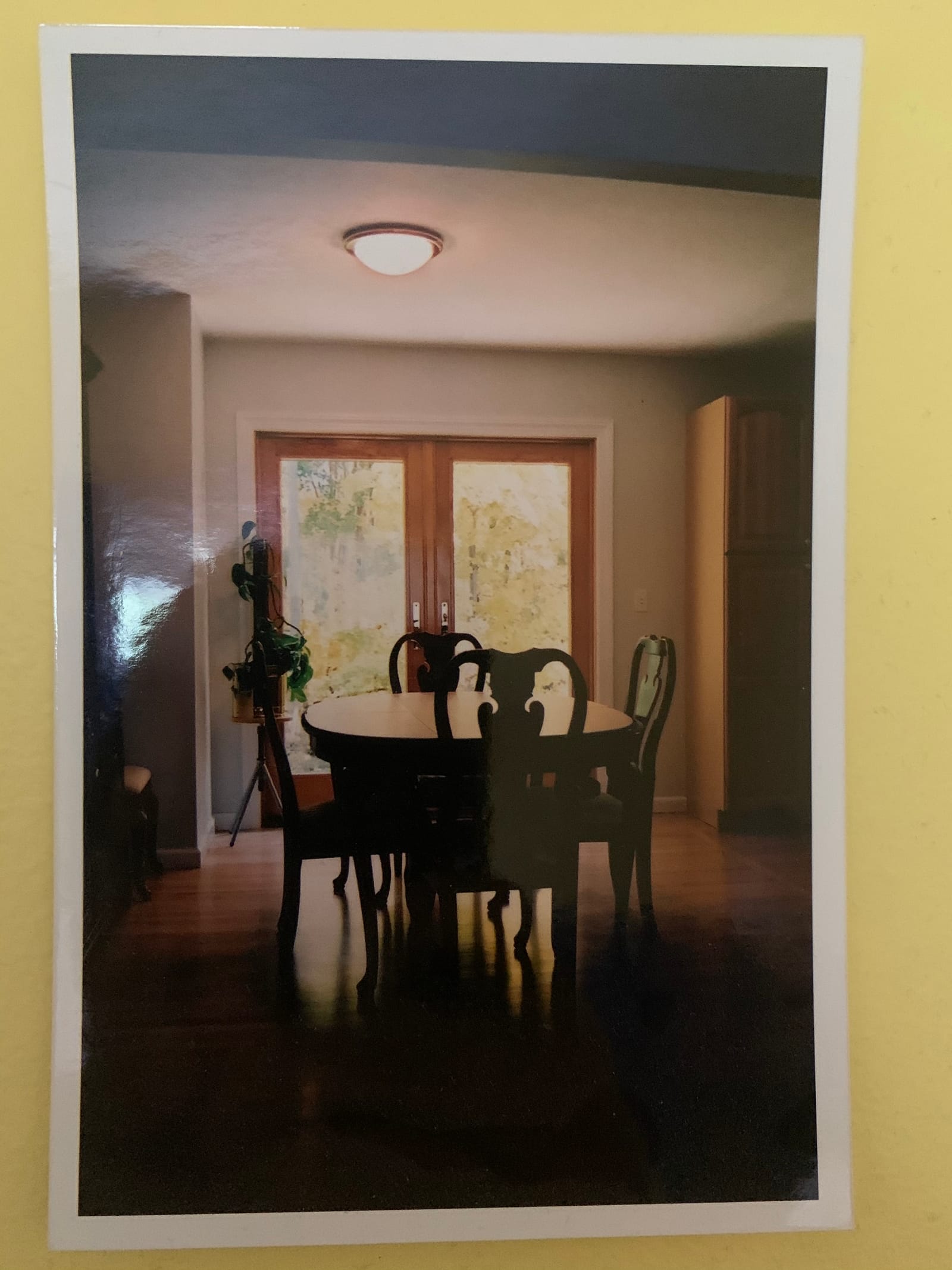 Printed photo, shimmering under a golden mat, of a small dining room in afternoon light with a table and four chairs, a sunlit garden behind French doors, a philodendron in a brass pot