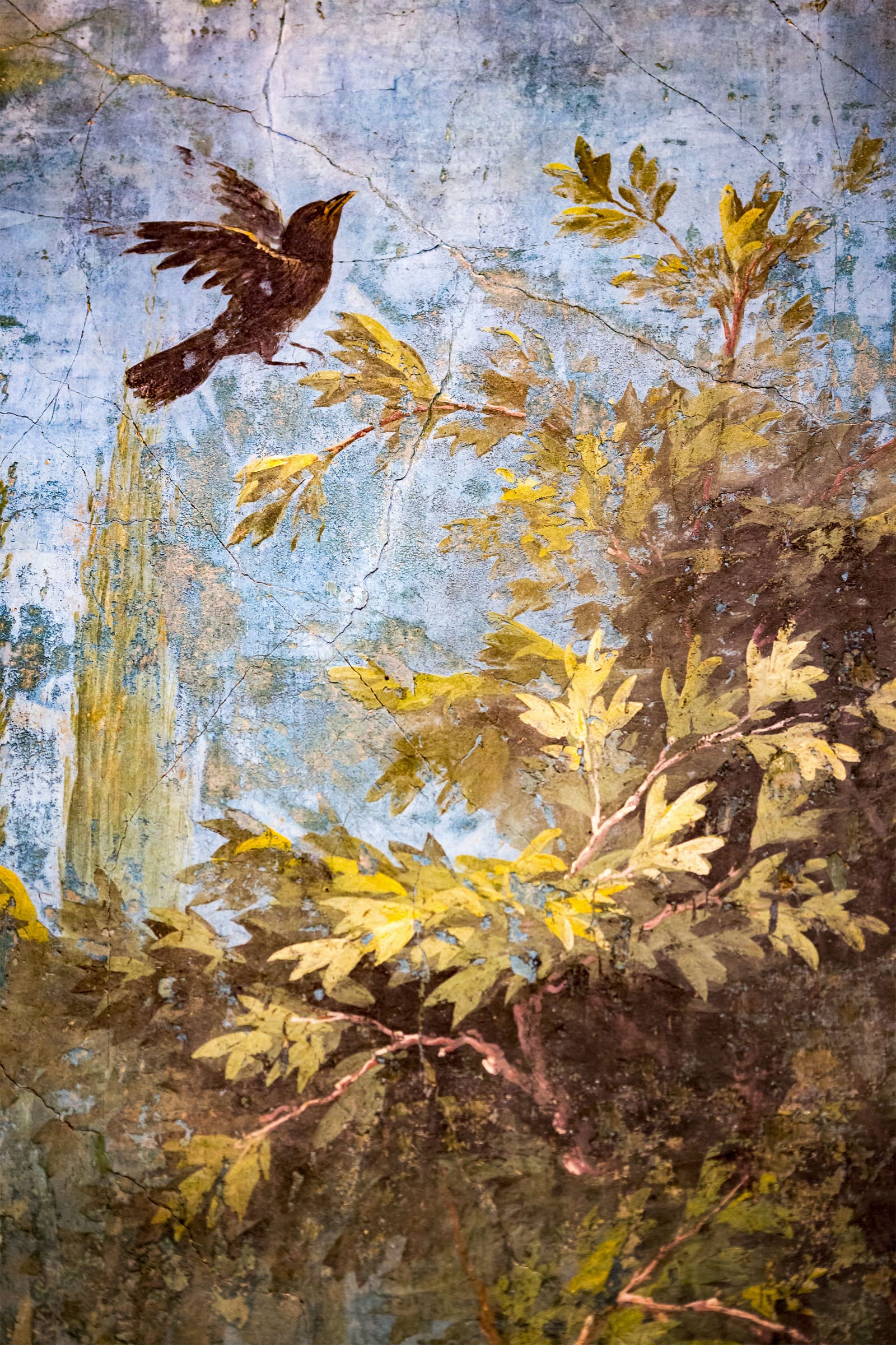 Detail of a Pompeiian wall painting, 20-30 B.C.E., depicts a bird on the wing amid golden leaves